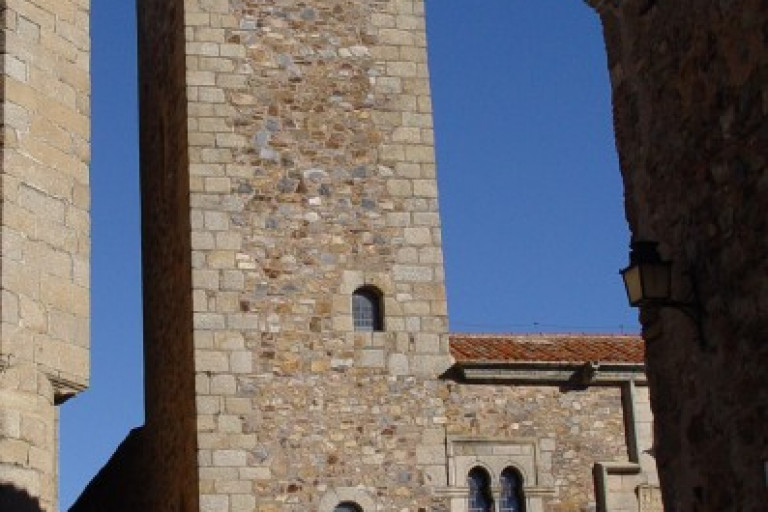Torre de las Cigüeñas Palacio y Apartamento Turístico Montesol en Cáceres